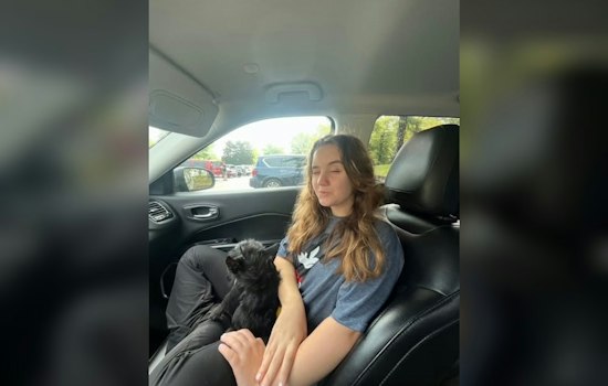 Savannah Teen Hallie Long, 14, Reported Missing After Morning Sighting