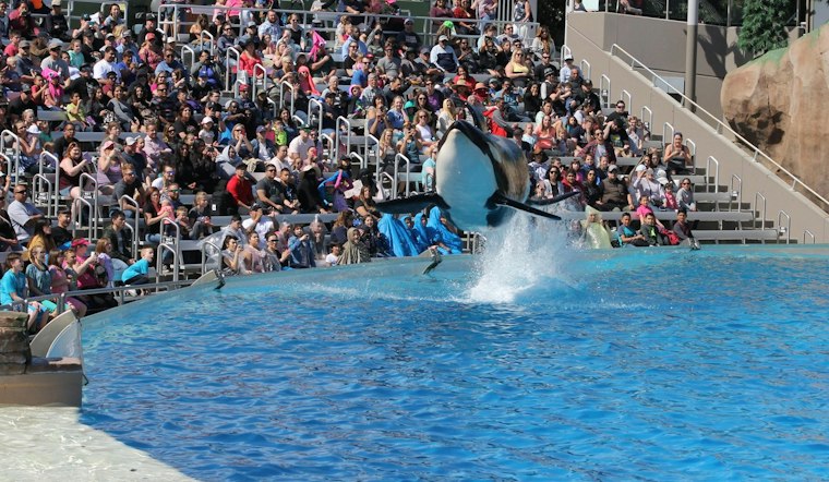 SeaWorld San Diego Honors Veterans With Fireworks, Flags Nov. 7-9