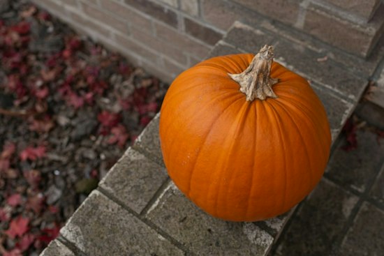 Seven Kids Caught on Camera Trashing Halloween Décor at Vancouver Home