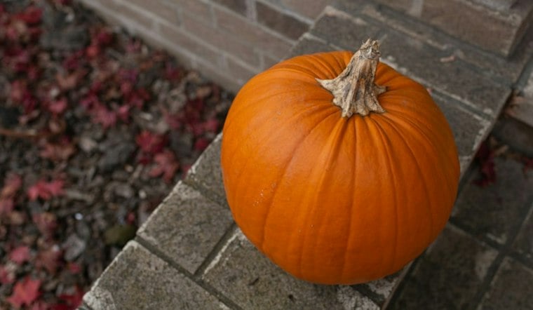 Seven Kids Caught on Camera Trashing Halloween Décor at Vancouver Home