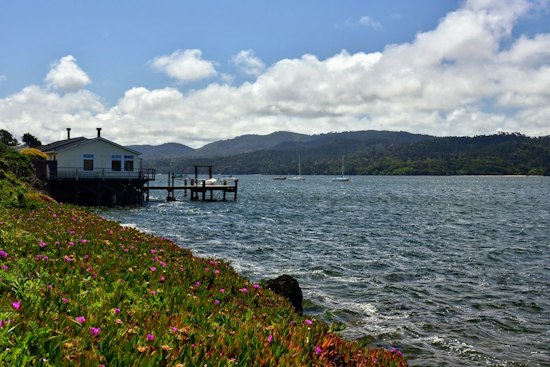 Sewage Leak In Olema Forces Hog Island to Pull Tomales Bay Oysters