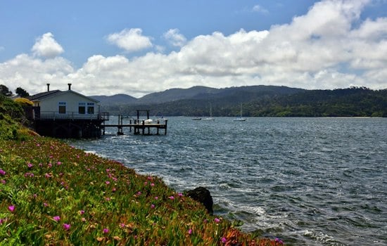 Sewage Leak In Olema Forces Hog Island to Pull Tomales Bay Oysters