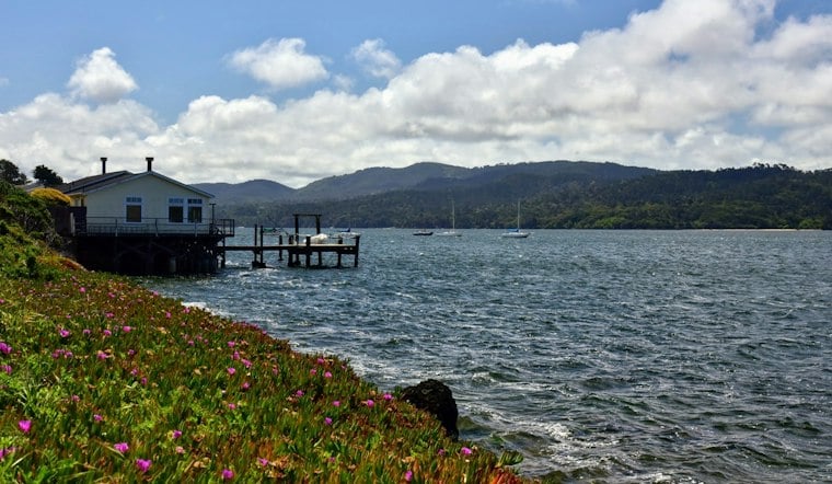 Sewage Leak In Olema Forces Hog Island to Pull Tomales Bay Oysters