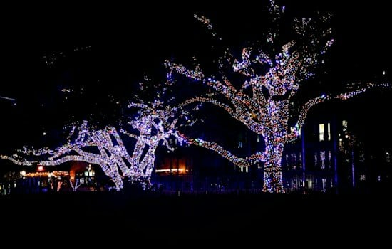 SF Zoo Revives ZooLights After 8 Years, Betting Big on $30 Tickets