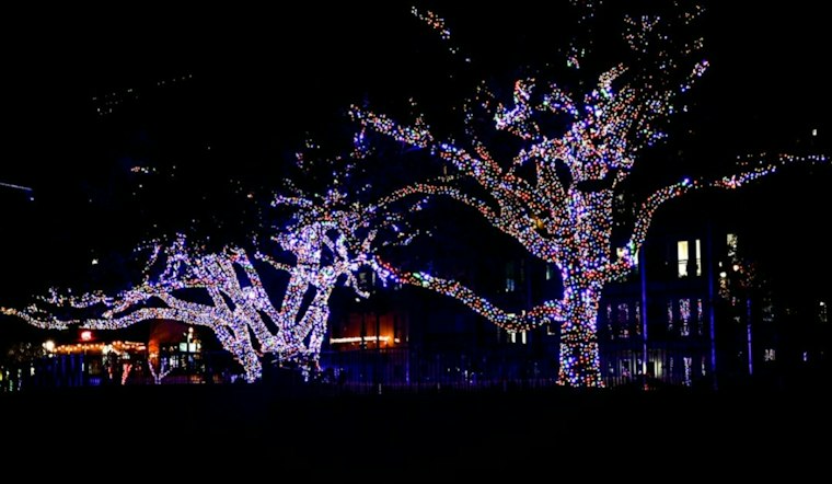 SF Zoo Revives ZooLights After 8 Years, Betting Big on $30 Tickets