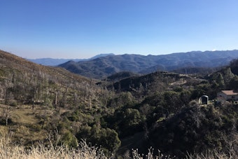 Shady 2 Fire Reported in Lake County as Cause and Containment Remain Unknown