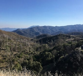 Shady 2 Fire Reported in Lake County as Cause and Containment Remain Unknown