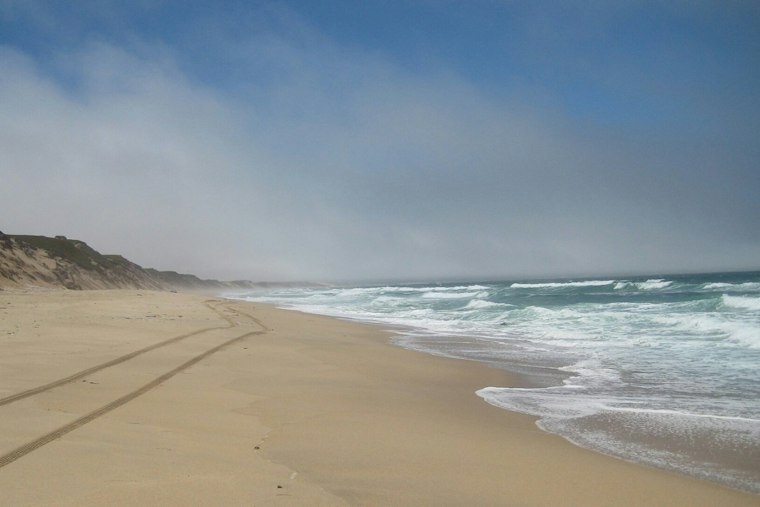 Shark Breaches Behind Beachgoer at Marina State Beach, Video Shows