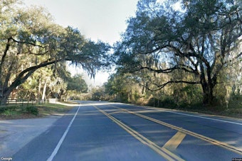 Single-Vehicle Crash Kills One on SW Williston Road in Micanopy