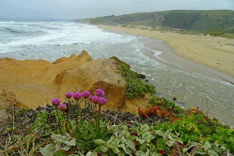 Six Years Later, Pescadero Beach Fire Death Still Has No Name