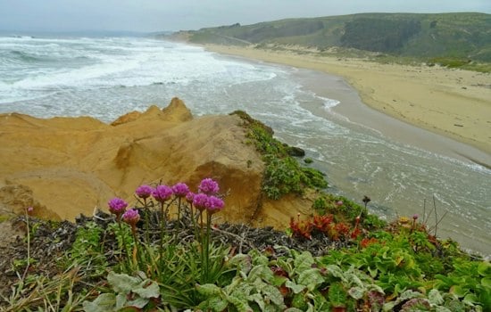 Six Years Later, Pescadero Beach Fire Death Still Has No Name