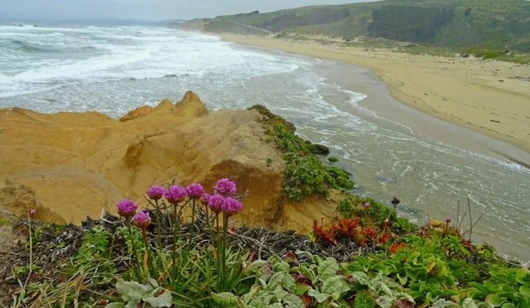 Six Years Later, Pescadero Beach Fire Death Still Has No Name