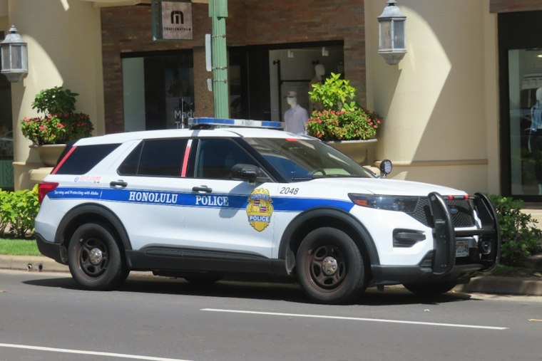 Skeleton-Masked Gunman Holds Up Mākaha Man, Steals Two Vehicles