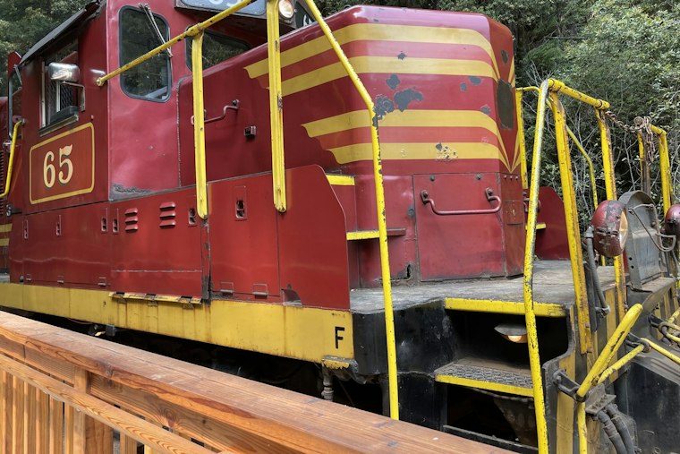 Skunk Train's Mushroom Express Rolls Nov. 7 as Mendocino Foraging Rules Stay Strict