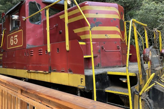 Skunk Train's Mushroom Express Rolls Nov. 7 as Mendocino Foraging Rules Stay Strict