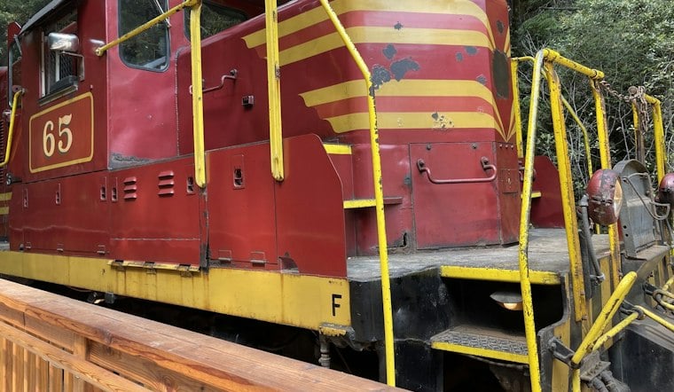Skunk Train's Mushroom Express Rolls Nov. 7 as Mendocino Foraging Rules Stay Strict
