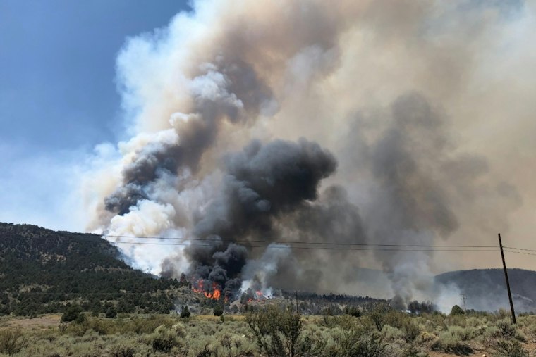 Slink Fire Fully Contained Near Topaz After Burning 196 Acres Off Highway 395