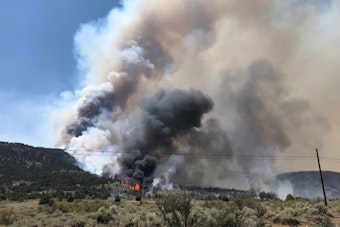Slink Fire Fully Contained Near Topaz After Burning 196 Acres Off Highway 395