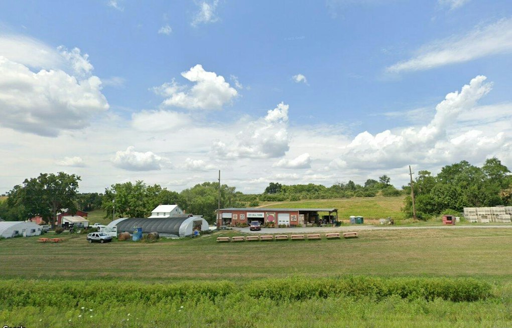 Smithsburg's Ivy Hill Farm Marks 50 Years With Free Fall Festival This Weekend