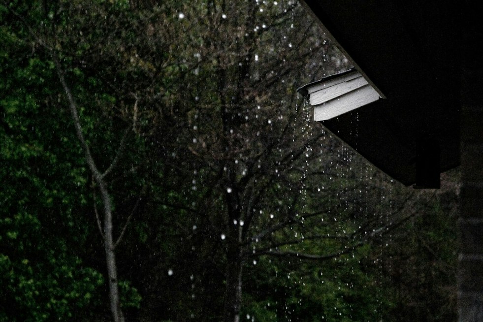 Soggy in San Jose: Midweek Rain Puts Chill on South Bay