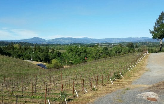 Sonoma Winery That Vanished in 2024 Returns After Merger With Brookside