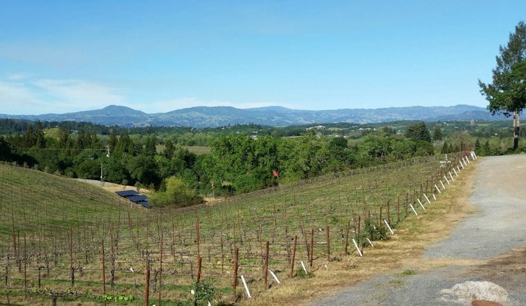 Sonoma Winery That Vanished in 2024 Returns After Merger With Brookside