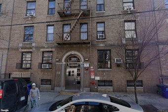 South Bronx NYCHA Tower Gets 29-Story Mural, Organizers Call It Nation's Tallest