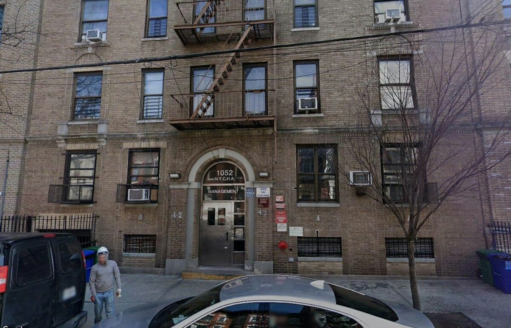 South Bronx NYCHA Tower Gets 29-Story Mural, Organizers Call It Nation's Tallest