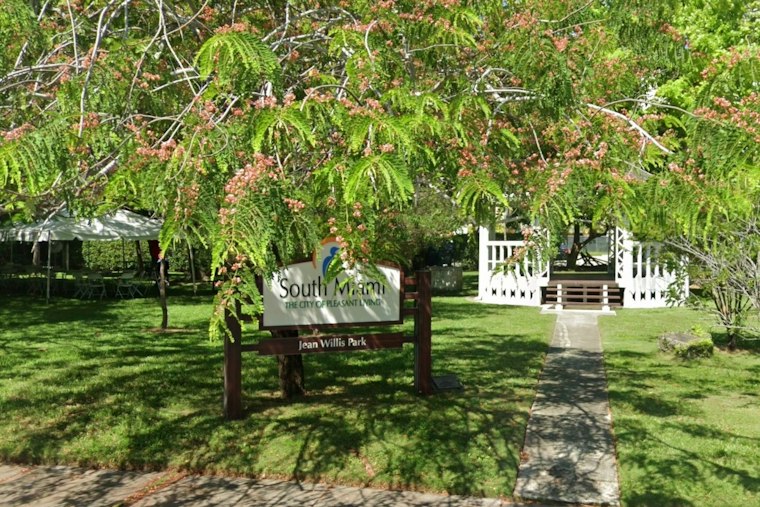 South Miami Residents Battle City Hall to Save Jean Willis Park's 70 Flowering Trees