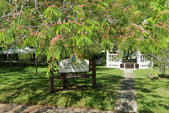 South Miami Residents Battle City Hall to Save Jean Willis Park's 70 Flowering Trees