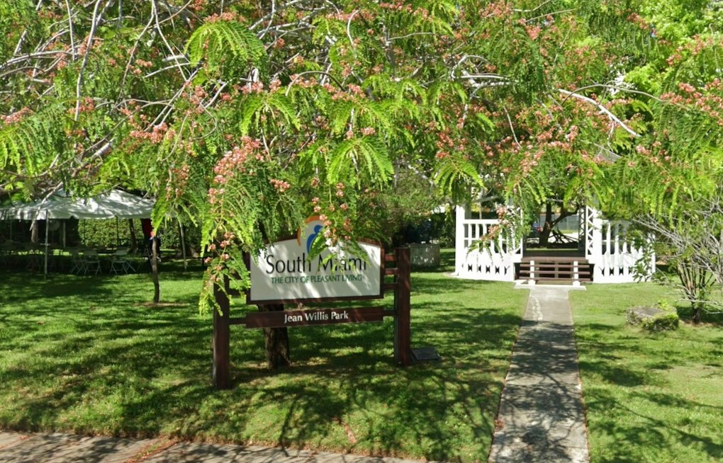 South Miami Residents Battle City Hall to Save Jean Willis Park's 70 Flowering Trees