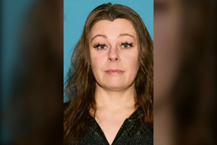 Southgate Woman, 43, Vanishes After Car Crashes Into Huron Township Yard