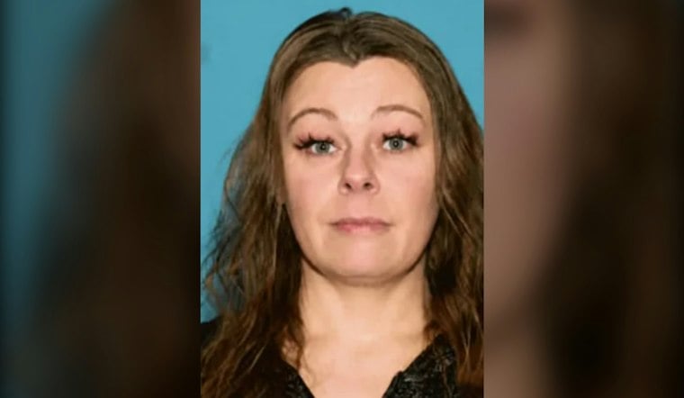 Southgate Woman, 43, Vanishes After Car Crashes Into Huron Township Yard