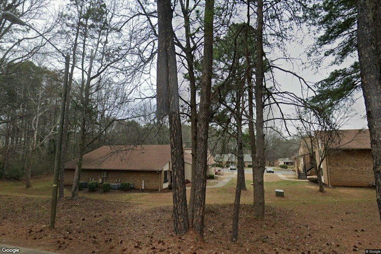Spartanburg Boy, 11, Bitten 10 Times by Escaped Dog, Owner Cited