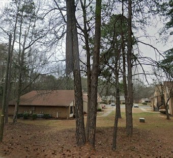 Spartanburg Boy, 11, Bitten 10 Times by Escaped Dog, Owner Cited