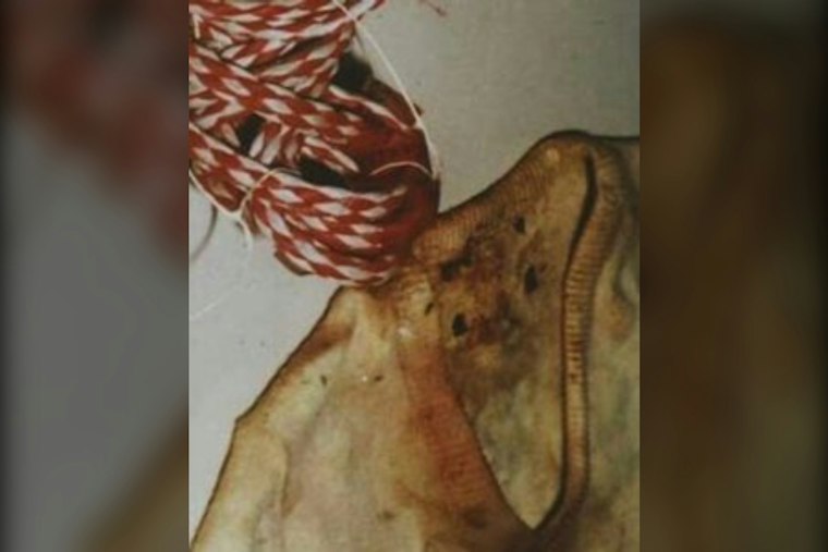 St. Louis Cold Case Still Haunts Decades Later as FBI Renews Plea for Little Jane Doe