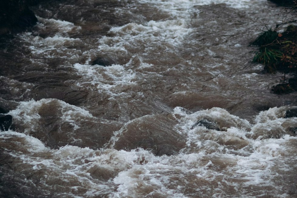 St. Marys River Forecast to Reach 14 Feet Near Macclenny