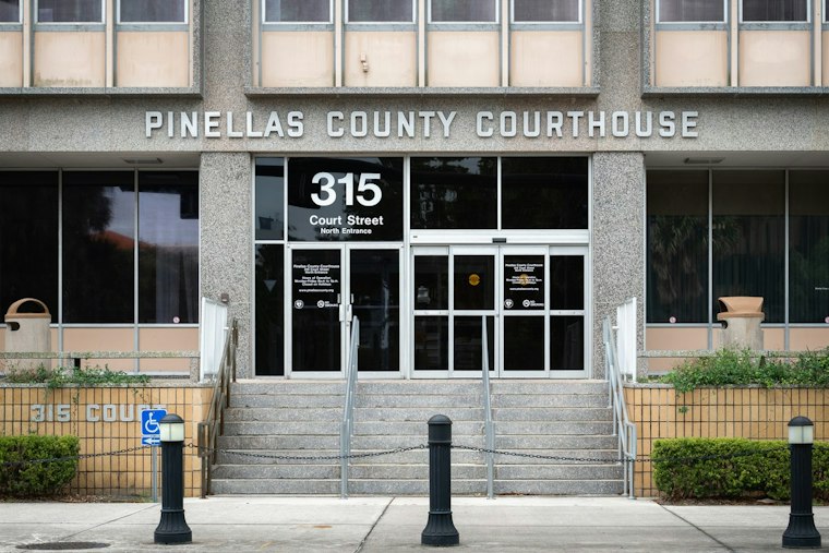 St. Pete Sues Tire Shop as Dengue Cases Surge Past 350 in Tampa Bay