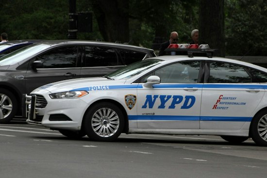 Staten Island Woman, 68, Shoved Into Fence in Daylight Attack, NYPD Hunts Suspect