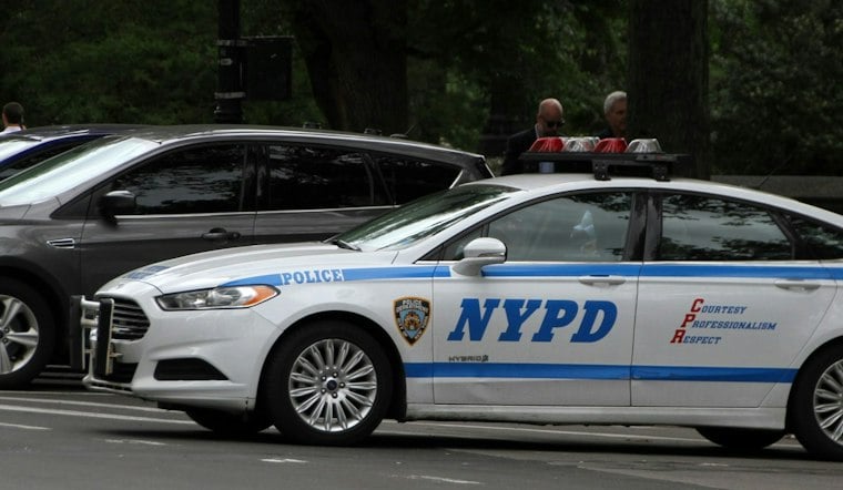 Staten Island Woman, 68, Shoved Into Fence in Daylight Attack, NYPD Hunts Suspect
