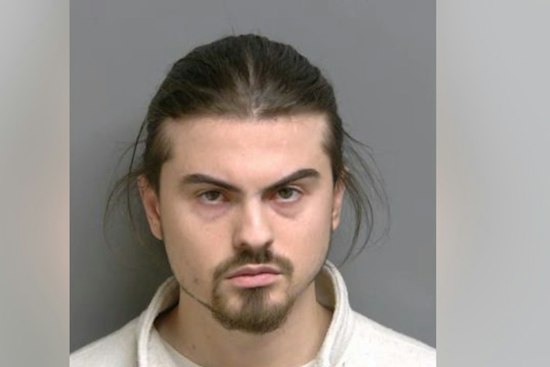 Sterling Heights Man Who Beat Dog Winnie on Camera Avoids Felony After Judge Dismisses Charge