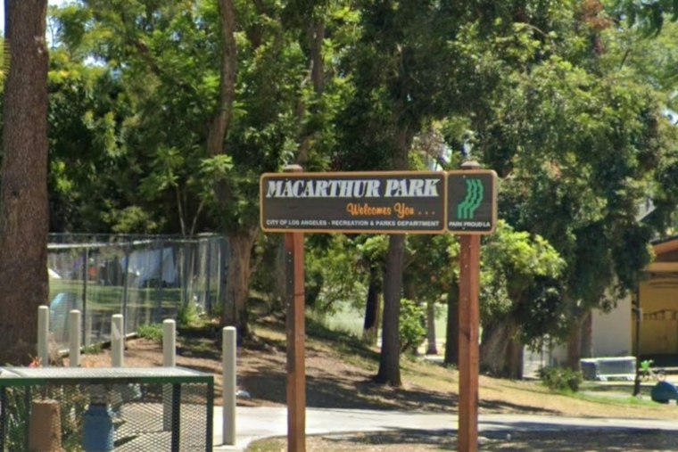 Steve Hilton Tours Needle-Strewn MacArthur Park, Vows to Kill Harm Reduction Funding