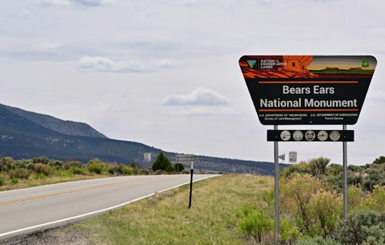 Storm Strands 70 Runners in Utah's Moab 240, Forcing Mass Evacuation
