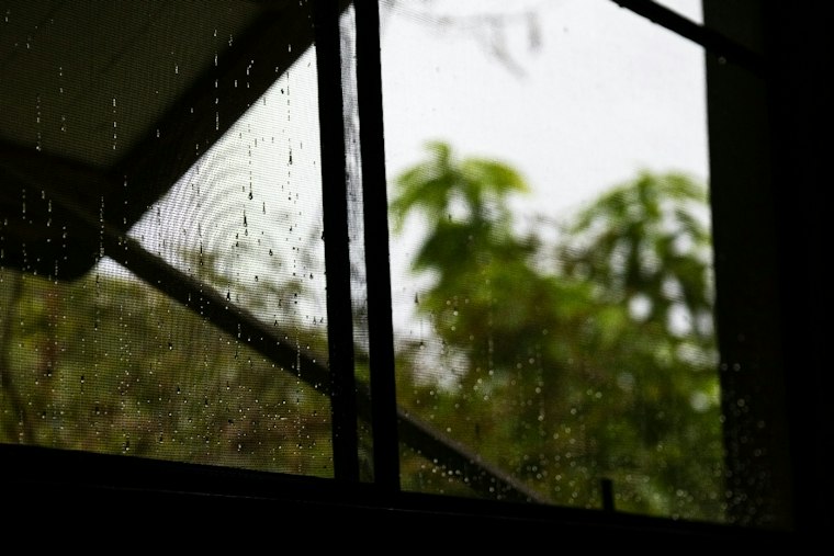 Stormy Sunday Soaks D.C. as Isaias Remnants Roll In Before Sunny Warmup