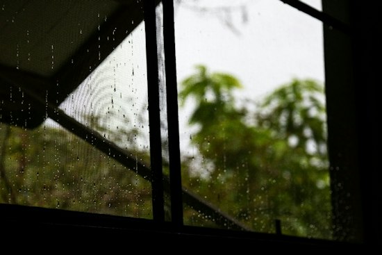Stormy Sunday Soaks D.C. as Isaias Remnants Roll In Before Sunny Warmup
