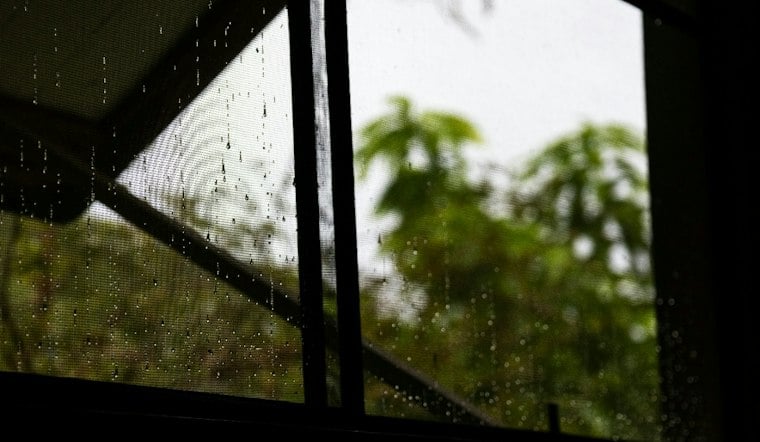 Stormy Sunday Soaks D.C. as Isaias Remnants Roll In Before Sunny Warmup