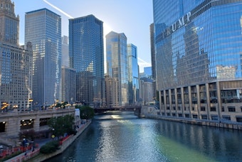 Struggling Swimmer Pulled From Chicago River Near LaSalle Street, Rushed to Hospital