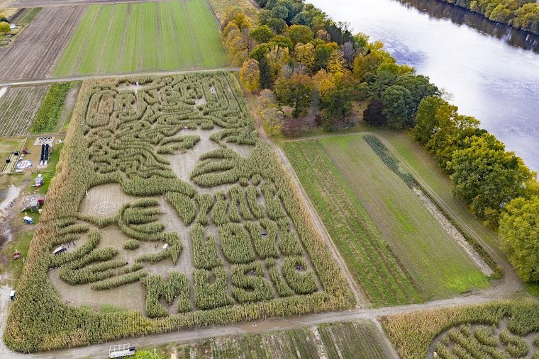 Sunderland Cornfield Grows Mona Lisa, King Tut and Einstein Faces Visible From Above