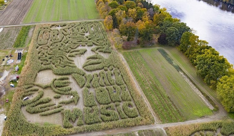 Sunderland Cornfield Grows Mona Lisa, King Tut and Einstein Faces Visible From Above