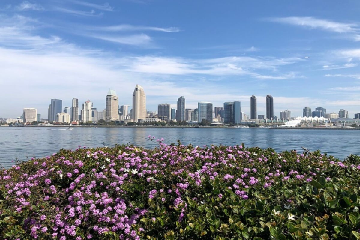 Sunny San Diego Braces as King Tides Swamp Coast, Halloween Weekend Rain Looms